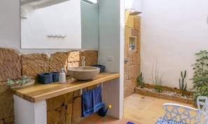 A bathroom with a stone sink, a mirror, a shower, and a small cactus plant.