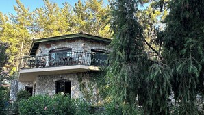 Exterior - Alp Inn Butik Otel (Marmaris)