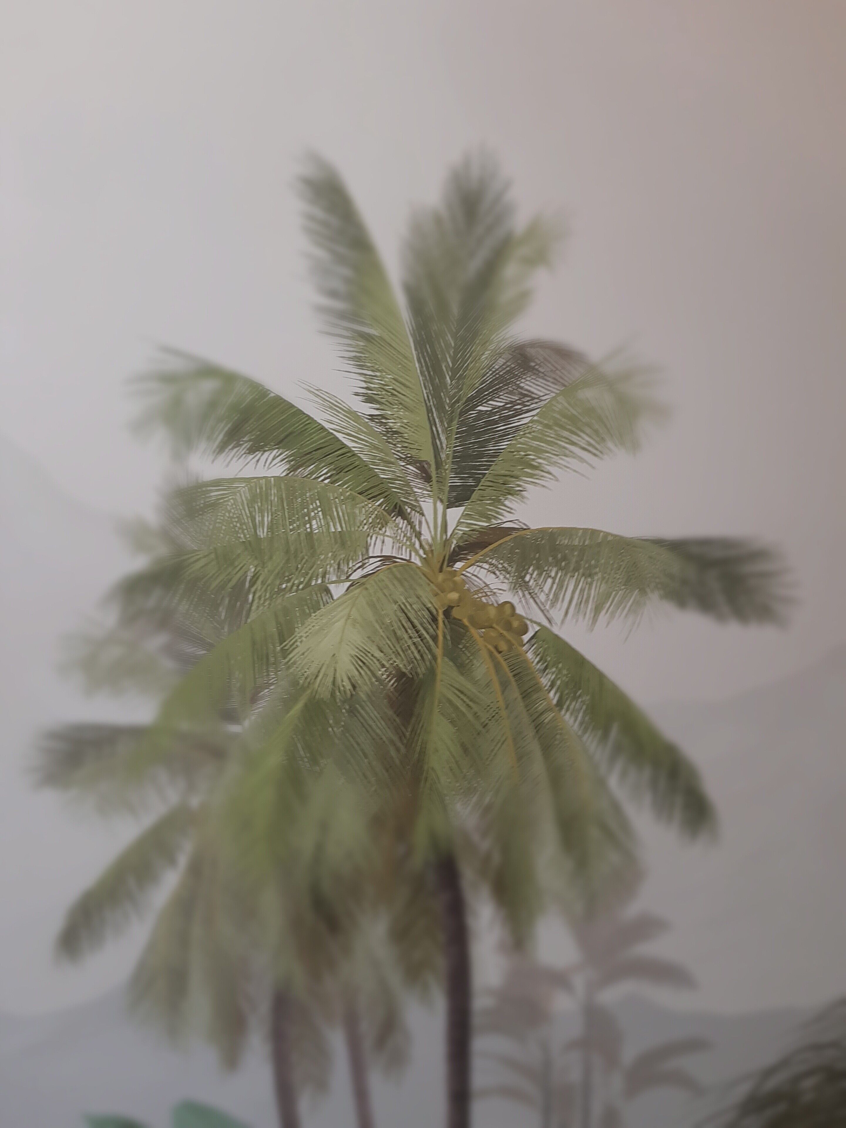 Foto - Three House Hotel