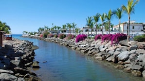 A coastal walkway lined with rocks and palm trees, leading to a beach. - Casa Mari Playa De Mogan (Mogan)