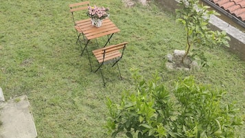 Un espace extérieur verdoyant, avec une table et des chaises en bois, entouré de plantes en pot et d’un petit arbre.