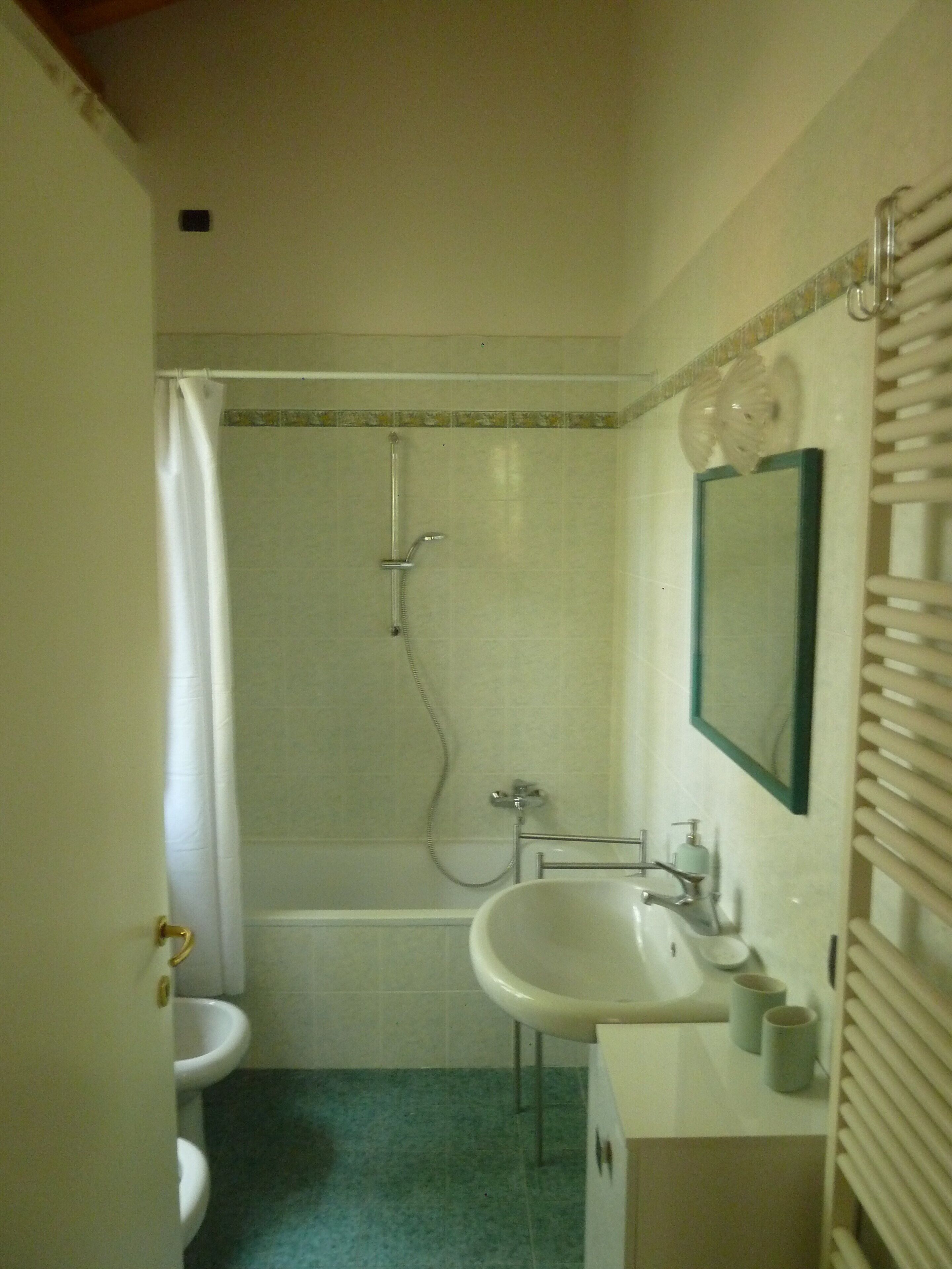 Un bagno piccolo con doccia, WC e lavandino.