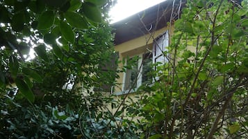 Ein Gebäude, das teilweise von dichtem Grün verdeckt wird.