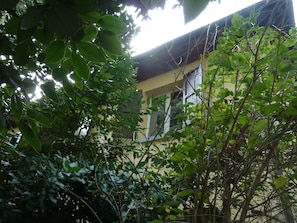 Un edificio parzialmente nascosto da fitta vegetazione.