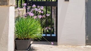 A gated entrance with a nameplate reading "Narcis" and a potted plant with purple flowers.