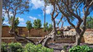 A garden with a large tree, stone wall, and various shrubs. - Villa Munqar (Zurrieq)