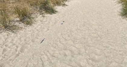 2-Raum-Ferienwohnung zwischen Salzhaff und Ostsee<br>Kostenloses WLAN