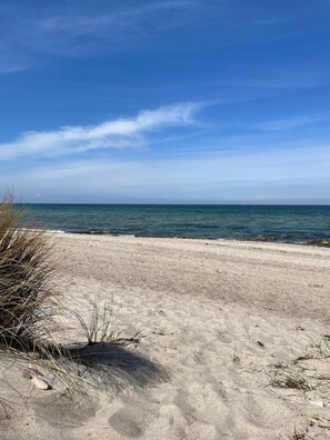 Playa en los alrededores y camastros 