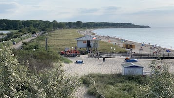 Playa en los alrededores y camastros