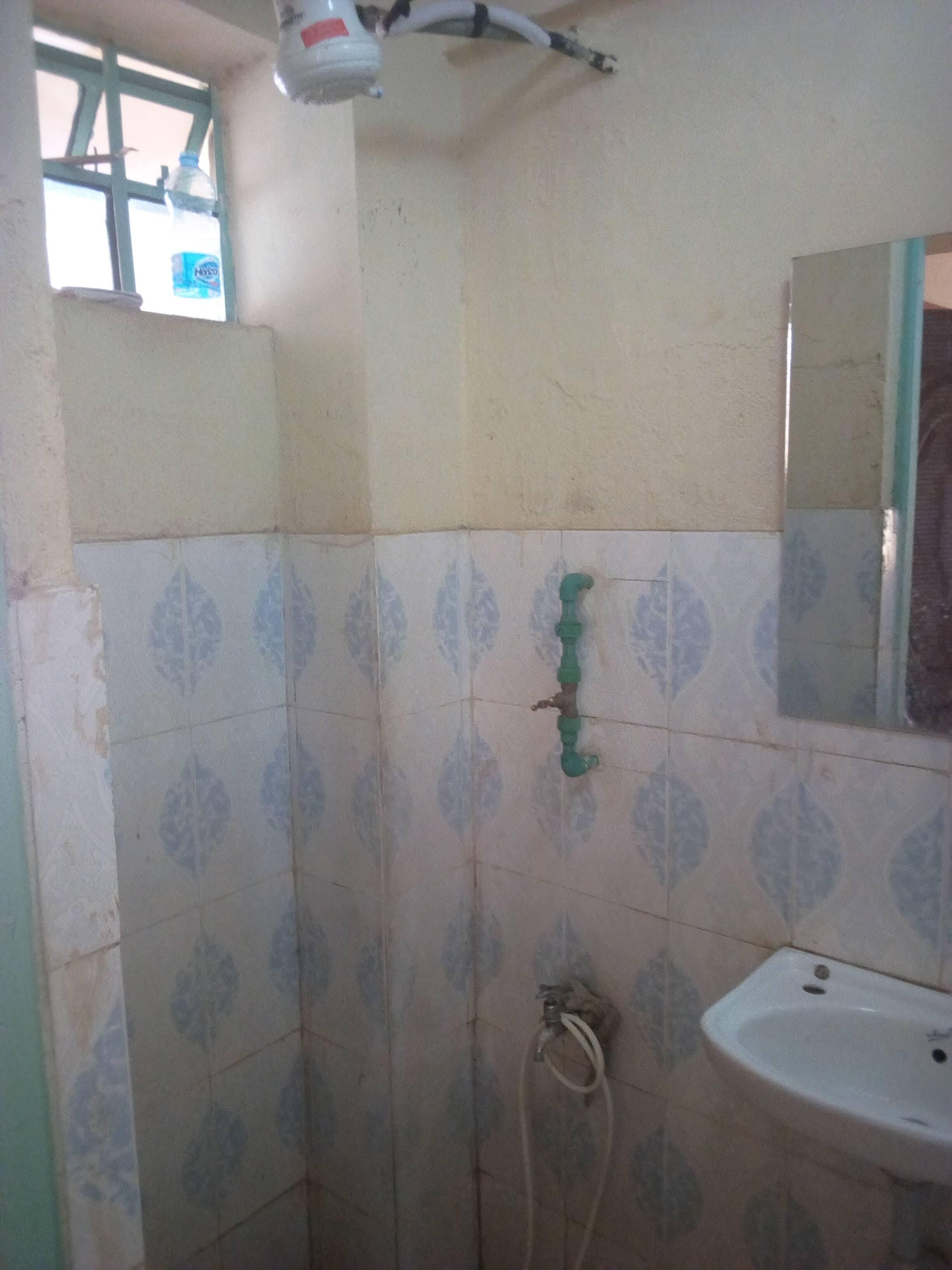 Un baño con lavamanos, espejo y zona de ducha.