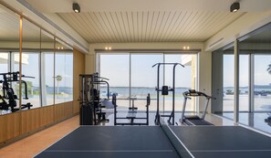 Fitness facility - Beachfront Villa Natalia with Two Private Pools (Vourvourou, Halkidiki, Sithonia)