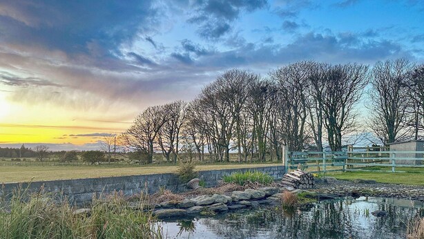 A serene outdoor setting with a pond, wooden deck, and a fence.