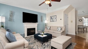 TV, fireplace, video games, books