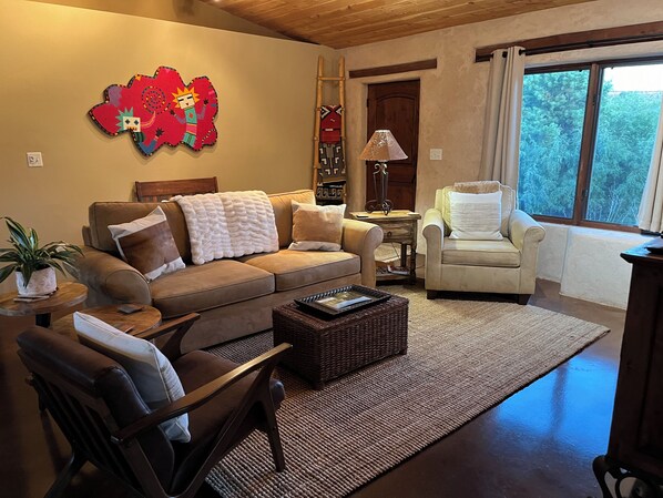 TV, fireplace, DVD player, books