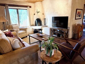 TV, fireplace, books, printers