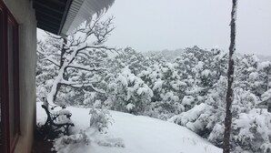 A snow-covered landscape with trees and a building. - Hiking, mt biking, 44 acres to explore, 20 min outside of Santa Fe (Santa Fe)
