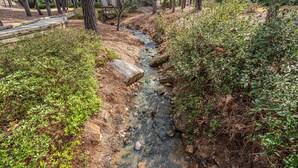 Un corso d'acqua naturale con rocce e vegetazione, circondato da alberi e un edificio sullo sfondo.