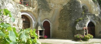 Spacious, well-equipped family villa between vineyards and the châteaux of the Loire Valley