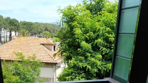 Vista dalla struttura