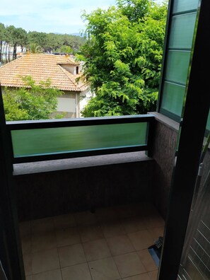 Vista desde la propiedad