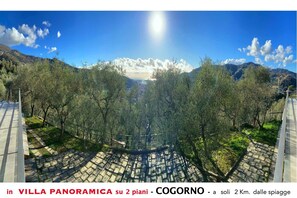 Nicht klassifiziertes Bild, 4 von 38, Schaltfläche