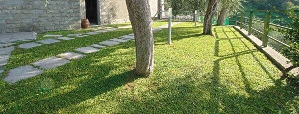 A well-maintained garden with a stone pathway leading to a building entrance, surrounded by lush green grass and trees. - Villa among the olive trees - beautiful panoramic view (San Salvatore)