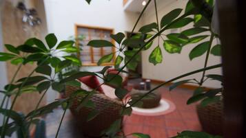 Vista des de l'habitació