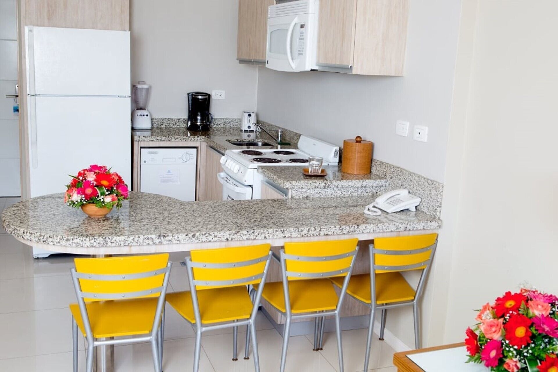 Fridge, microwave, oven, dishwasher