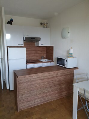 Réfrigérateur, micro-ondes, plaque de cuisson, lave-vaisselle