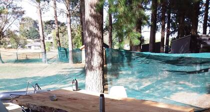 The pines 4  x private chalets
