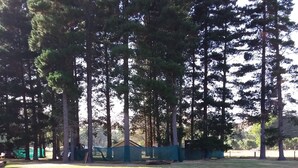 A grassy field with tall trees and a fenced area in the background. - The pines 4  x private chalets (Cheviot)