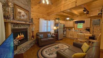 Smart TV, fireplace, books