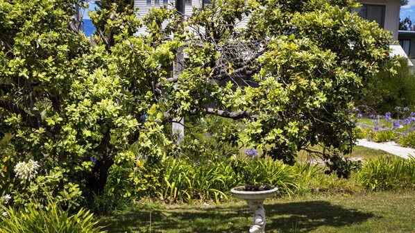 Stroll through the serene garden, featuring a birdbath and paved walkway, perfect for relaxation.