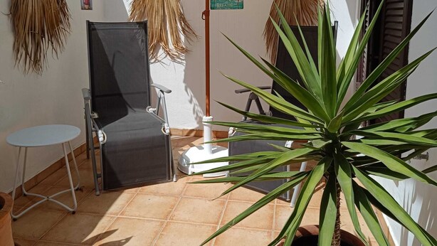 Een terras met een witte parasol, een stoel, een tafeltje en een plant in een pot.