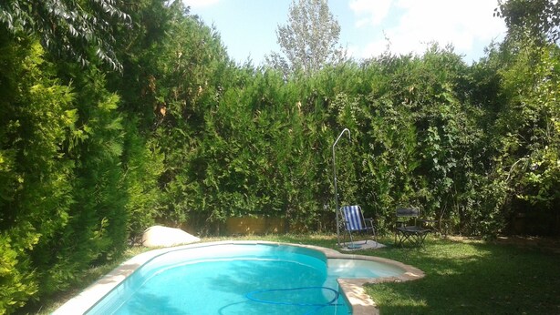 A swimming pool surrounded by a grassy area and dense foliage. - The River Lee Hotel in Cork (Espartinas)