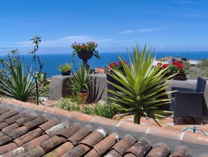 Leilighet, 1 soverom, røyk, terrasse | Terrasse/patio