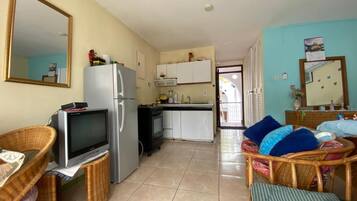 Apartment, 1 Queen Bed | Living area | 30-inch TV with cable channels