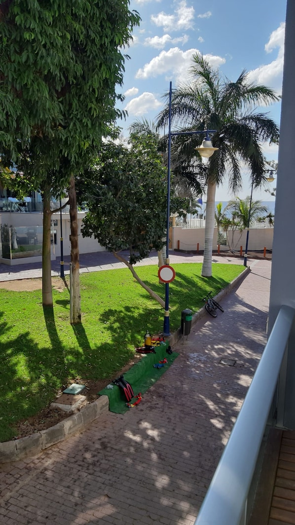 View from property