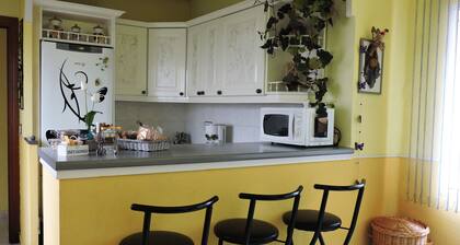 Cozy Apartment Near the Center 1-4 pp