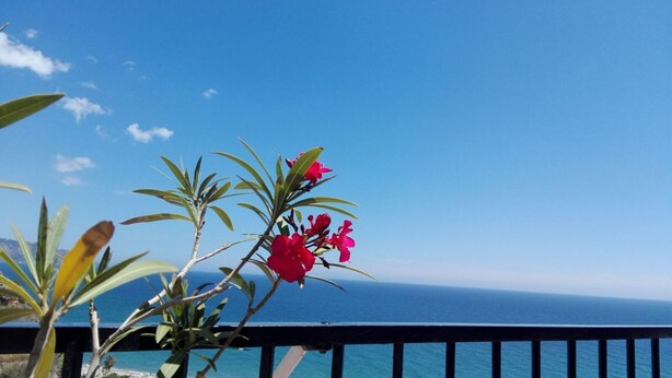 Unclassified image, 1 of 30, button - El Ranchito, Sights sea and Mountainsfree Wifi (Nerja)