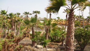 Apartment, 1 Bedroom, Smoking, Balcony | Garden