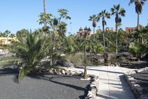 Apartment, 1 Bedroom, Smoking, Balcony | Garden - Nice Apartments With 3 Swimming Pools Wifi (La Oliva)