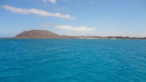 Apartment, 1 Bedroom, Smoking, Balcony | Exterior - Nice Apartments With 3 Swimming Pools Wifi (La Oliva)
