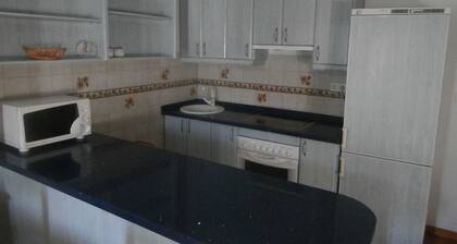 Central 100 Meters From the ski Lifts, With Terrace and Wifi