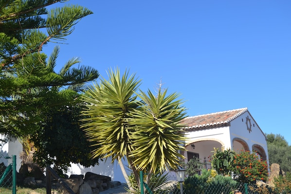 Exterior - Cozy Rural Tourism Accommodation in Huetor Spain (Vinuela)