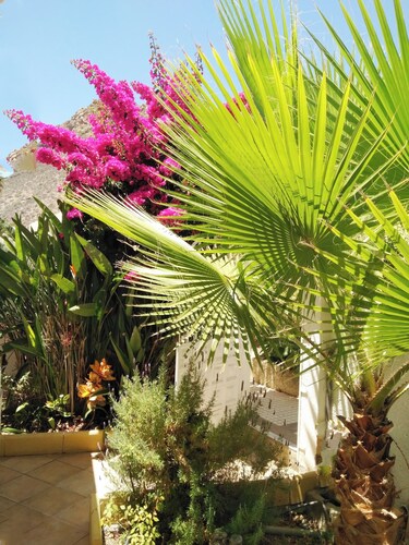 Casa Limona With Private Garden