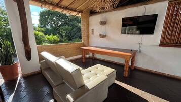 32-inch plasma TV with satellite channels, TV