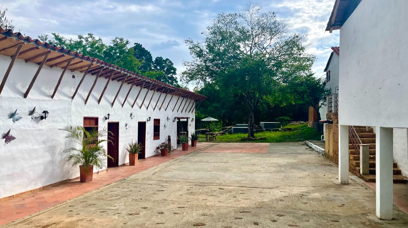 Outdoor wedding area