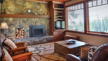 TV connectée, cheminée, jeux vidéo, lecteur de DVD