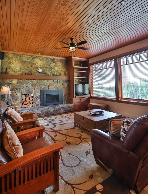 Smart TV, fireplace, video games, DVD player